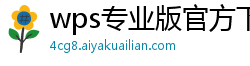 wps专业版官方下载链接怎么打开的啊苹果